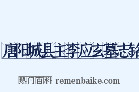 唐阳城县主李应玄墓志铭是什么意思的图片